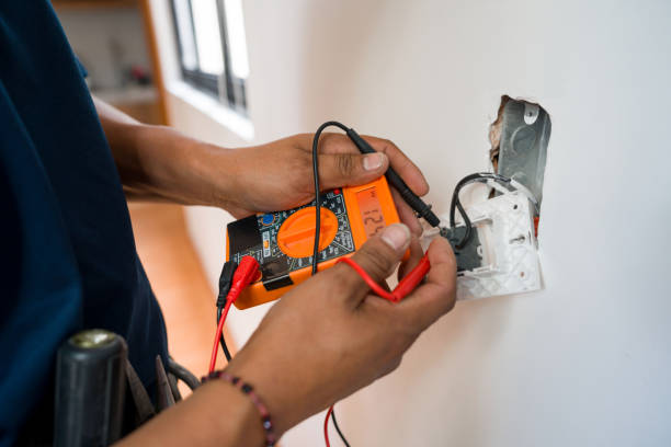 Best Electric Panel Repair  in Hillsboro Beach, FL
